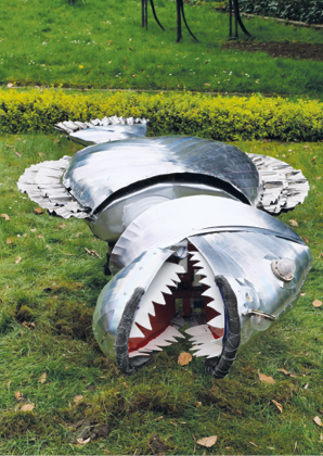 Versteckter Wadenbeißer im flachem Wasser
